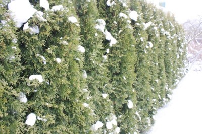 Купить четырехкомнатную квартиру, Минск, Ярошевичская улица, 40.