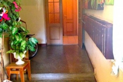 х комнатная квартира в чистой продаже