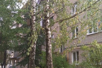 1 комнатная квартира