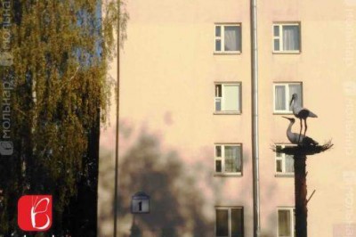Новая квартира со строительной отделкой в энергоэффективном доме.