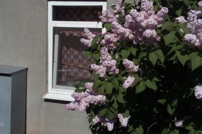 Продажа 4-х комнатной квартиры, г. Минск, ул. Богдановича, дом 55 (р-н Богдановича, Куйбышева, Веры Хоружей). Цена 160 556