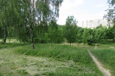 Продажа 1 комнатной квартиры, г. Минск, ул. Пташука, дом 9 (р-н Лошица). Цена 105 875 руб